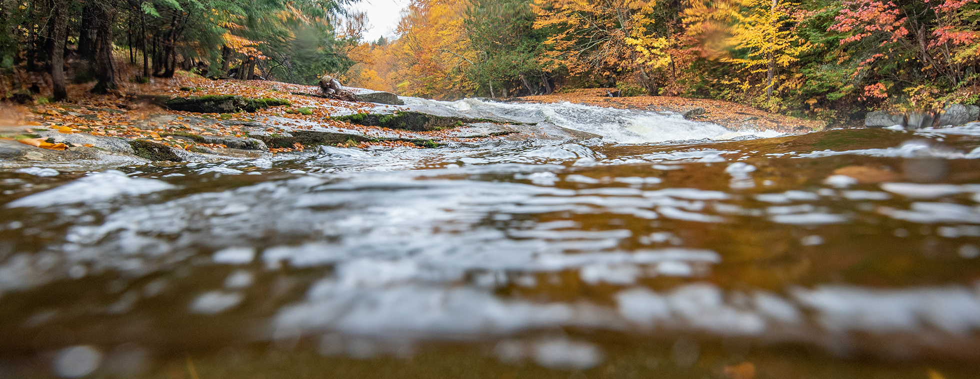 AFC September Shindig 2025